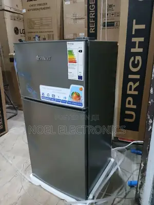 Snowsea Bd-136 136 Liters Double Door Refrigerator