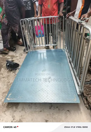 6 Ton Digital Animal Scale