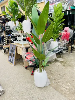 Artificial Plant