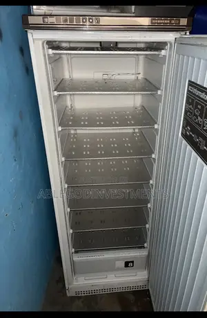 Standing Freezer