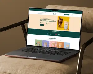 Ecommerce Shopify Store Design | Product Collection Setup