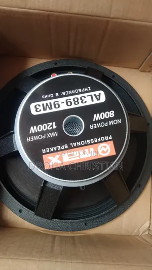 Omax 15 Inch Speaker.