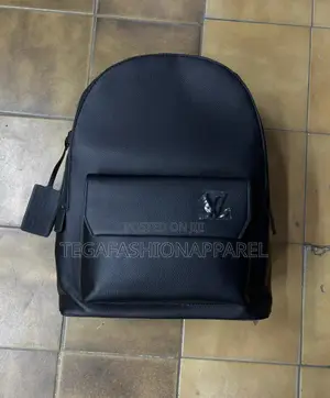 Luxury Louis Vuitton Back Pack