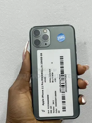 Apple iPhone 11 Pro 256 GB Gray