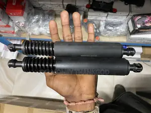 Porsche Cayenne Boot Shock 2008