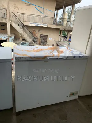 Liebherr 300 LTRS German Used Deep Freezer