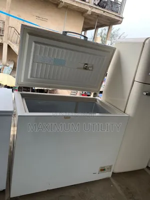 Liebherr 300 LTRS German Used Deep Freezer