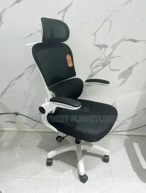 Classic Quality Ergonomic Office Chair.
