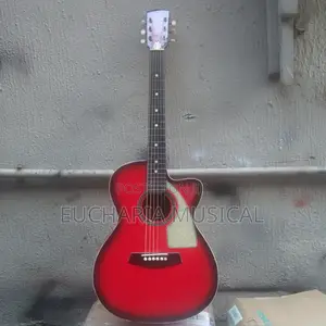 "Allegre Semi-Acoustic Guitar – Smooth Sound, Stylish Design"