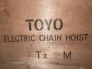 3ton X 6meters Electric Chain Hoist