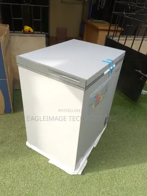 Skyrun Bd-145 Deep Freezer - 100% Quality