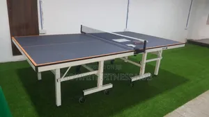 Hotshot Commercial-Grade Outdoor Table Tennis Board