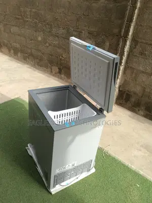 Portable Business Power: Skyrun 145l Freezer