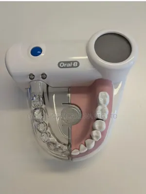 Teeth Model (New)