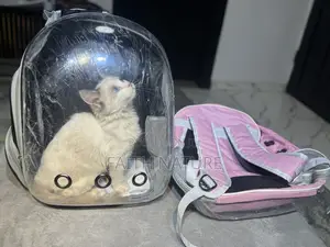 Pet Carrier Bag