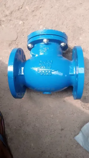 Non Return Valve