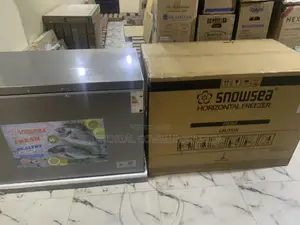 Snowsea Bd-450g Reliable Food Storage Freezer