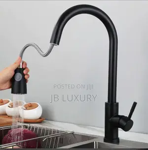 Pull Out Sink Mixer