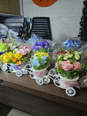 Tricycle Flower for Decor