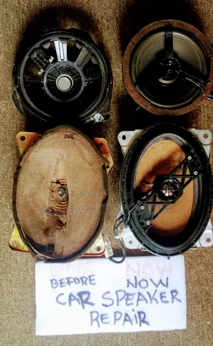 Car Speaker Repair
