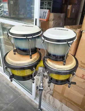 Professional Bongo Is Available Small and Big