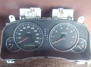 Speed Clock Pardo 2005