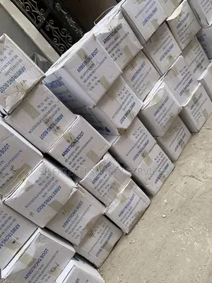 Armstrong Safety Shoe