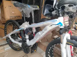 Original Bicycle