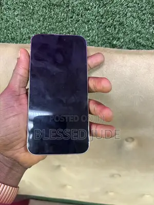 Apple iPhone 15 Pro Max 256 GB Silver