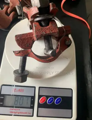 Original Scaffold Clip