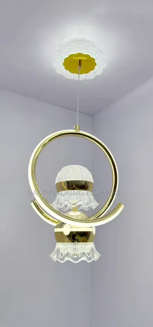 Quality Modern Single Led Pendant Chandelier Light