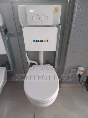 Geberit Bastia Concealed Wc 