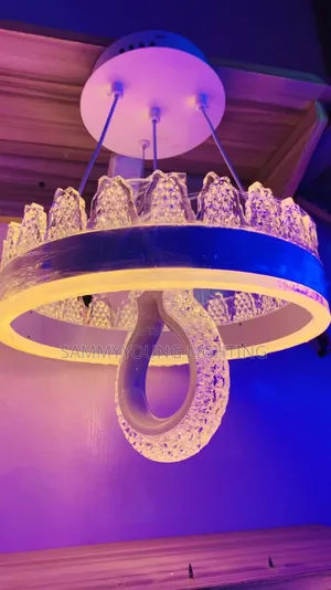 Quality Chandelier Led Dropping Light