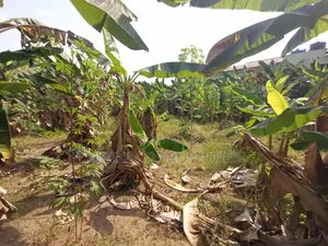 Acres of Land at Obafemi Adegbokan Village