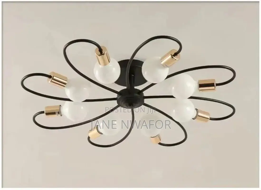 Unique Ceiling Light
