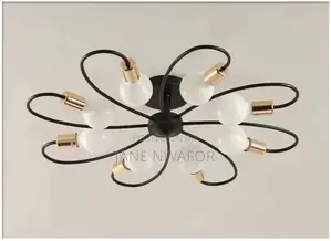 Unique Ceiling Light