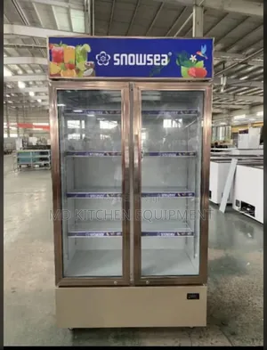 Double Door Chiller