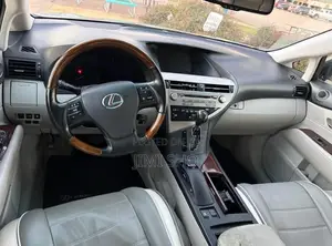 Lexus RX 2010 Gray