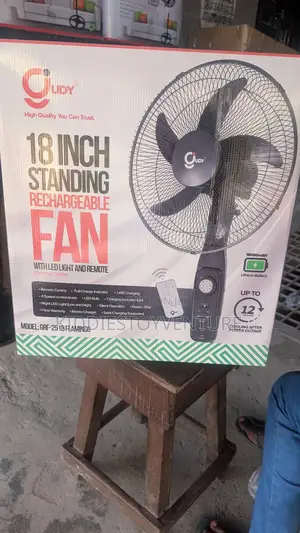 18 Inch Standing Rechargeable Fan