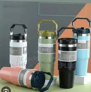 Insulated Vaccum Flask