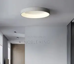 Adjustable Led Ceiling Light