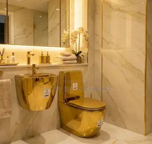 Gold Set of Wc With Its Wall-Hung Basin