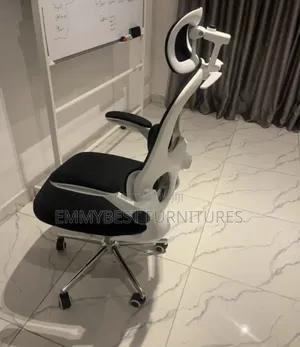 Unique Swivel Ergonomic Office Chair.