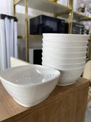 White Ceramic or Melamine Bowls