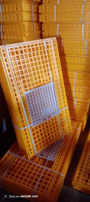Moveable Basket for Birds (Chicken)