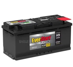 Everstart Agm Battery