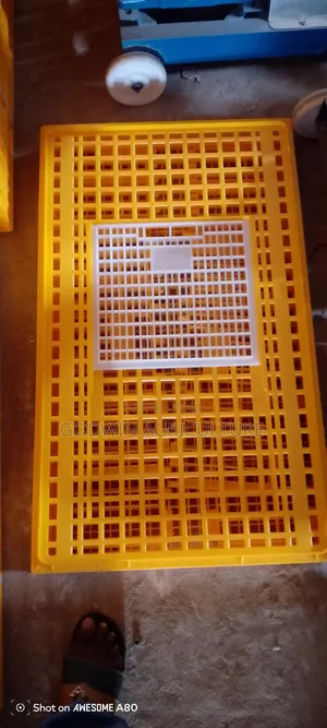 Moving Crates For Birds