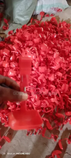 Read Nipple Cup