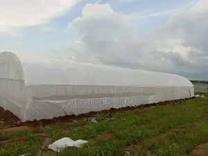 Greenhouse With Solarig Cover (Polytunnel)