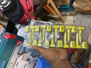 Container Bolt Seal